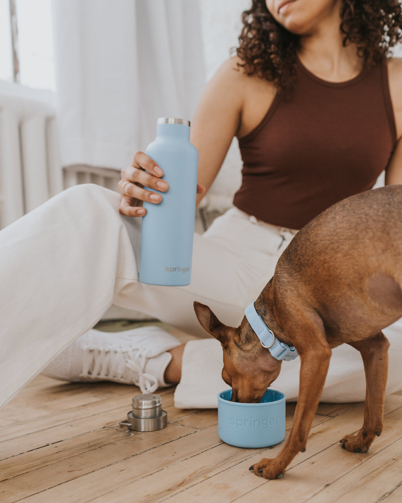 Dog & Me Water Bottle Sky Blue