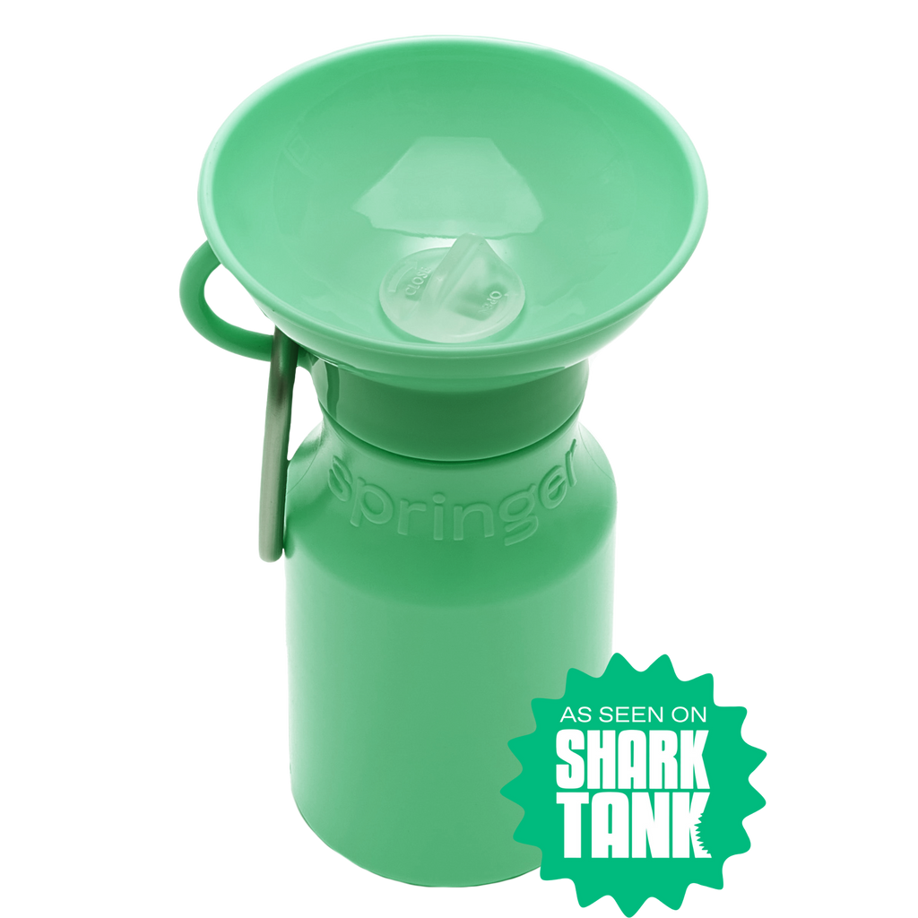 Mini Springer Green Bottle