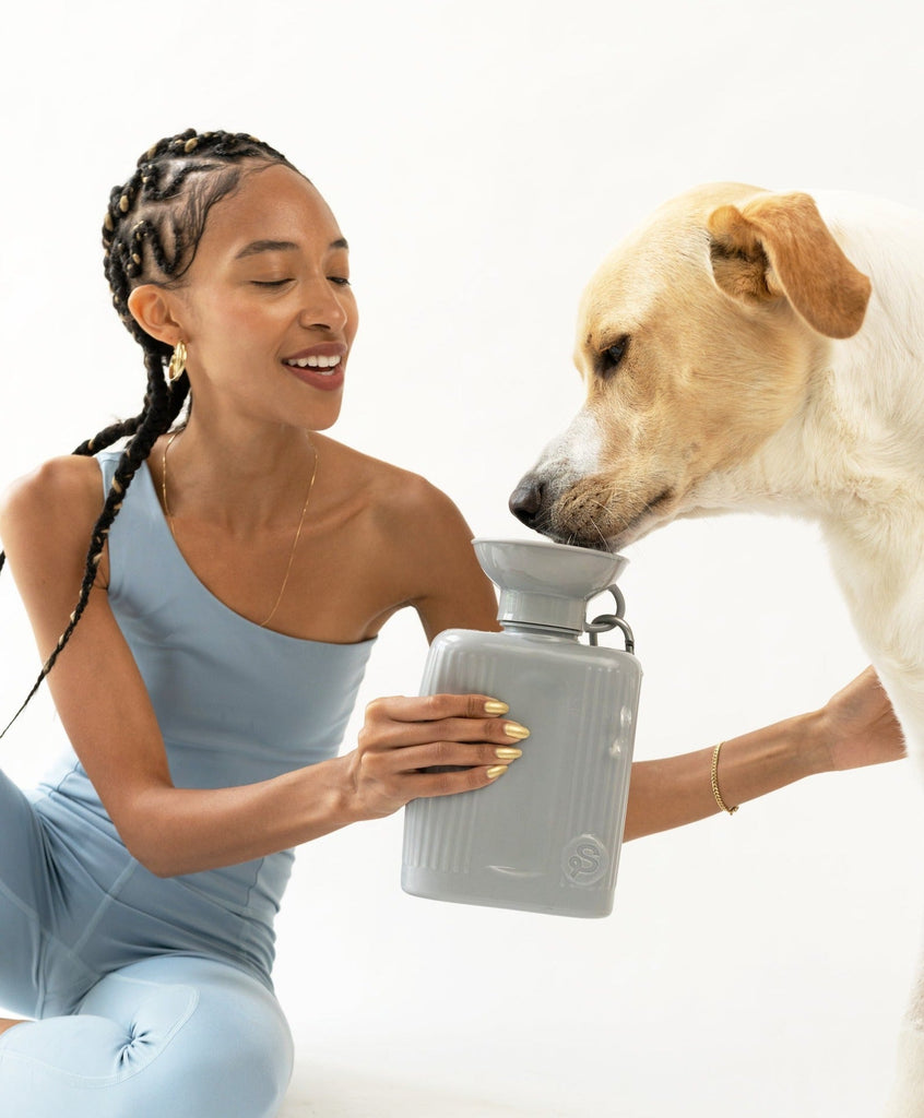 Growler Springer Grey