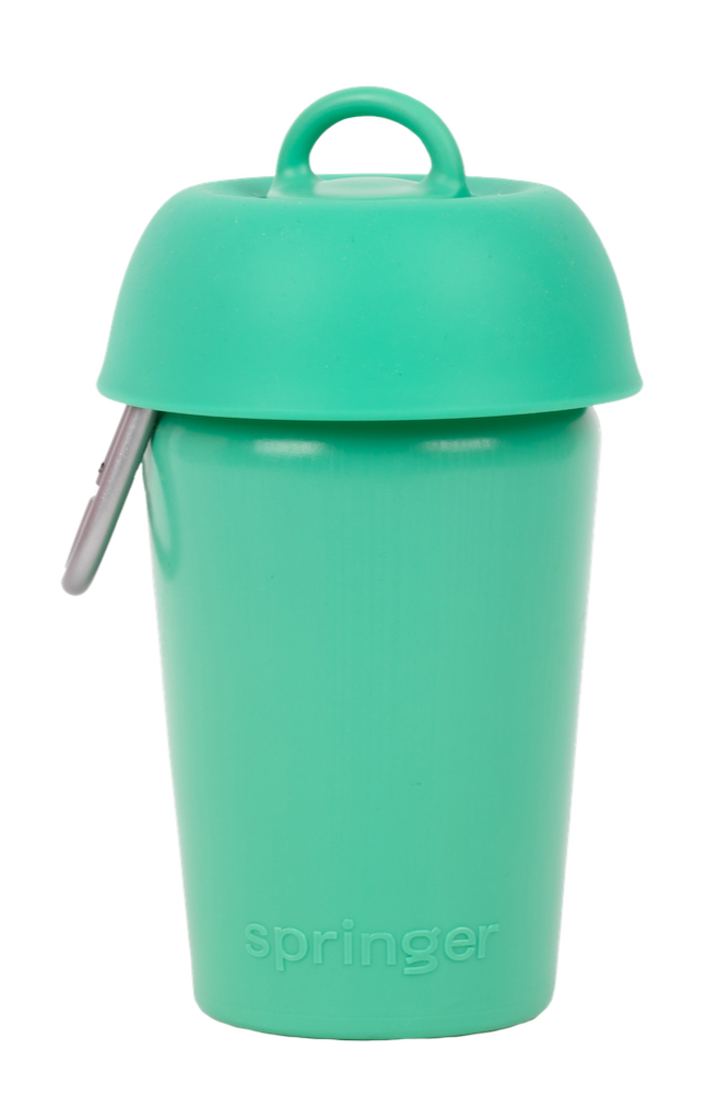 Flip Springer Green Bottle