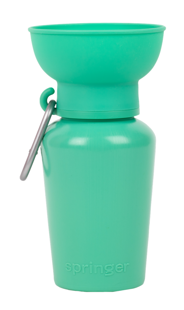 Flip Springer Green Bottle