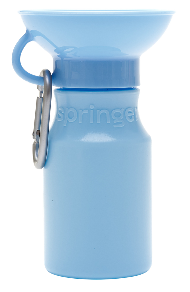 Mini Sky Blue