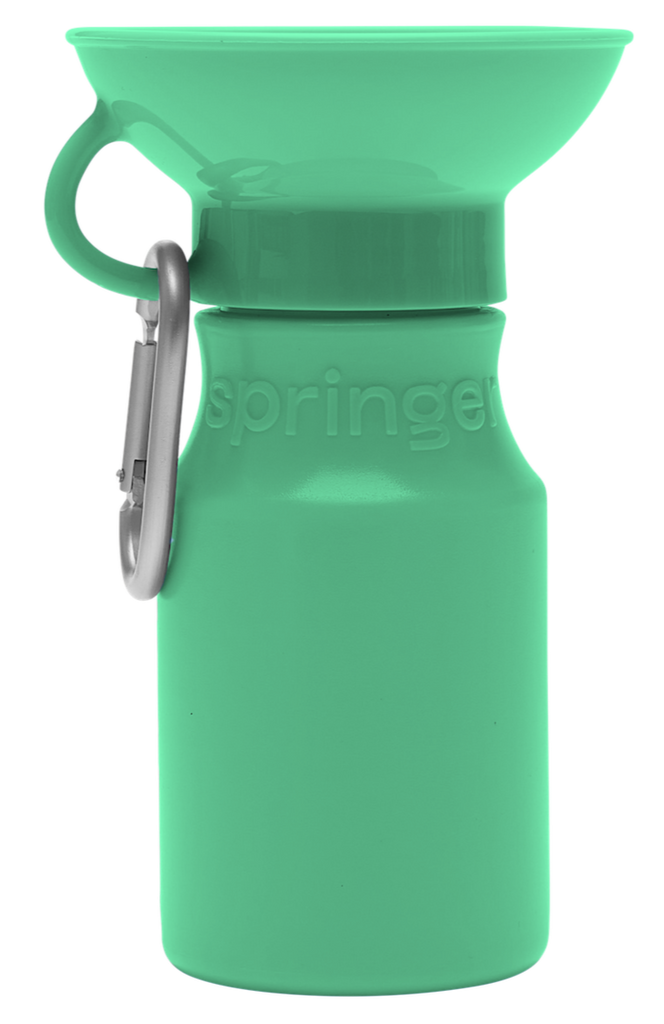Mini Springer Green
