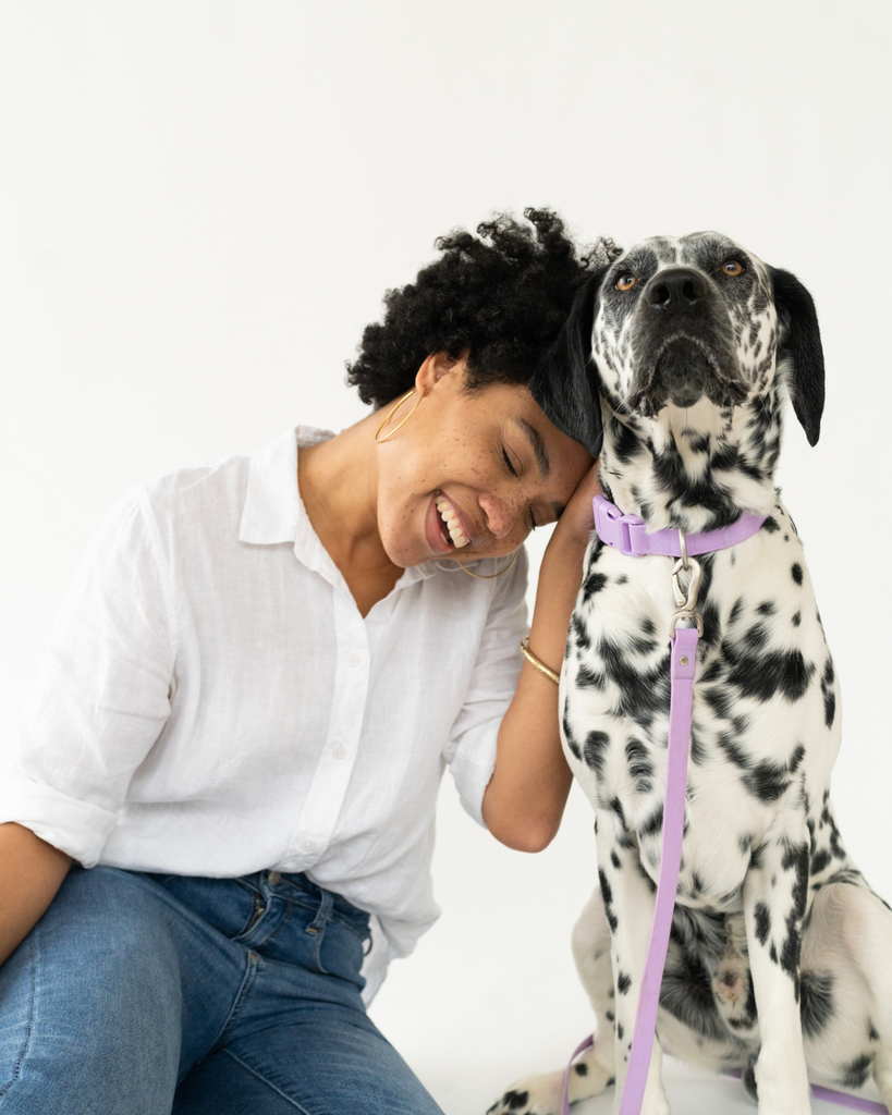 TIPS & TRICKS TO FOSTERING A DOG