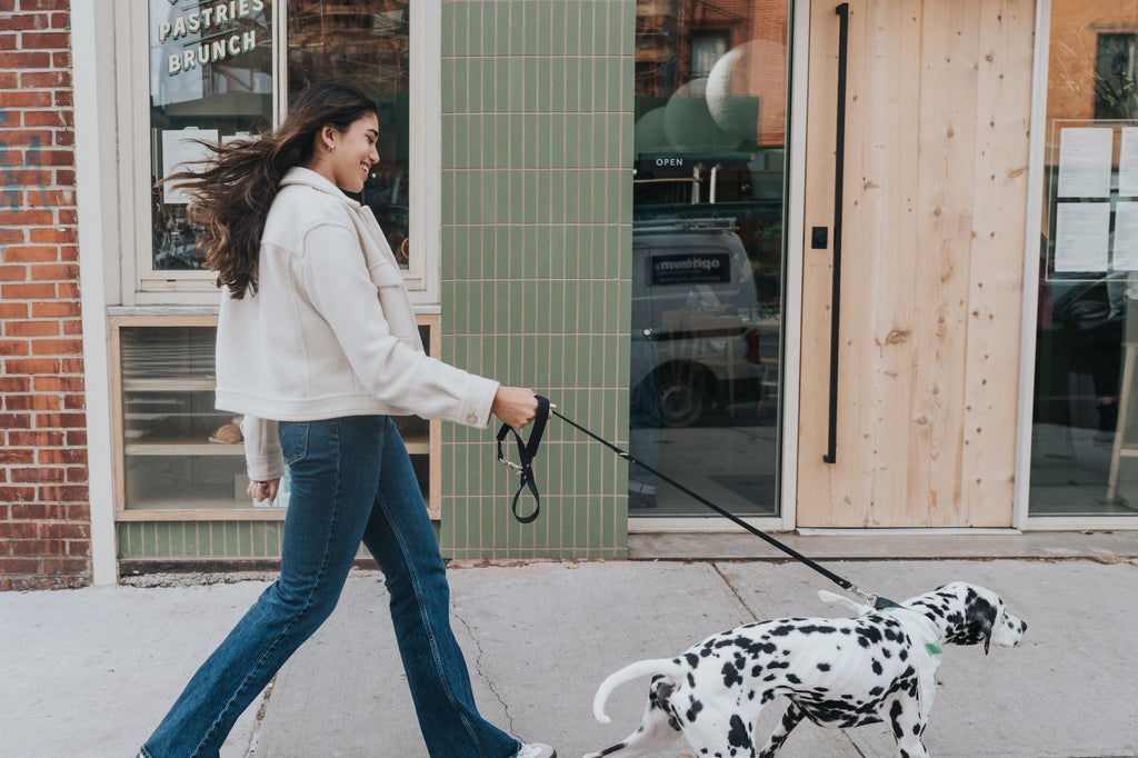 WHAT TYPE OF WALK DOES YOUR DOG PREFER?