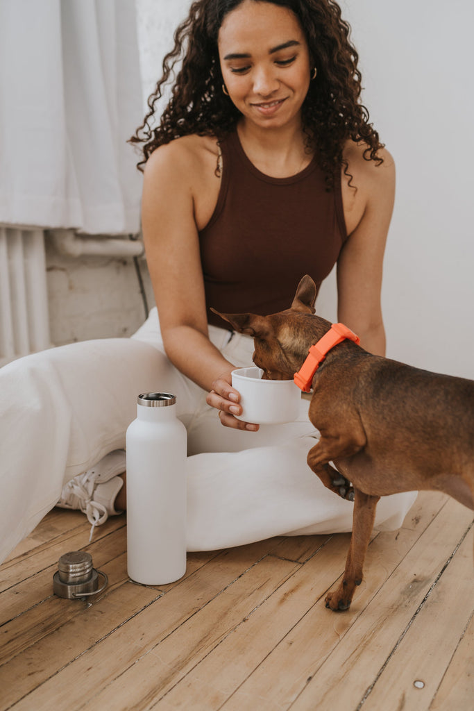 Dog & Me Water Bottle White