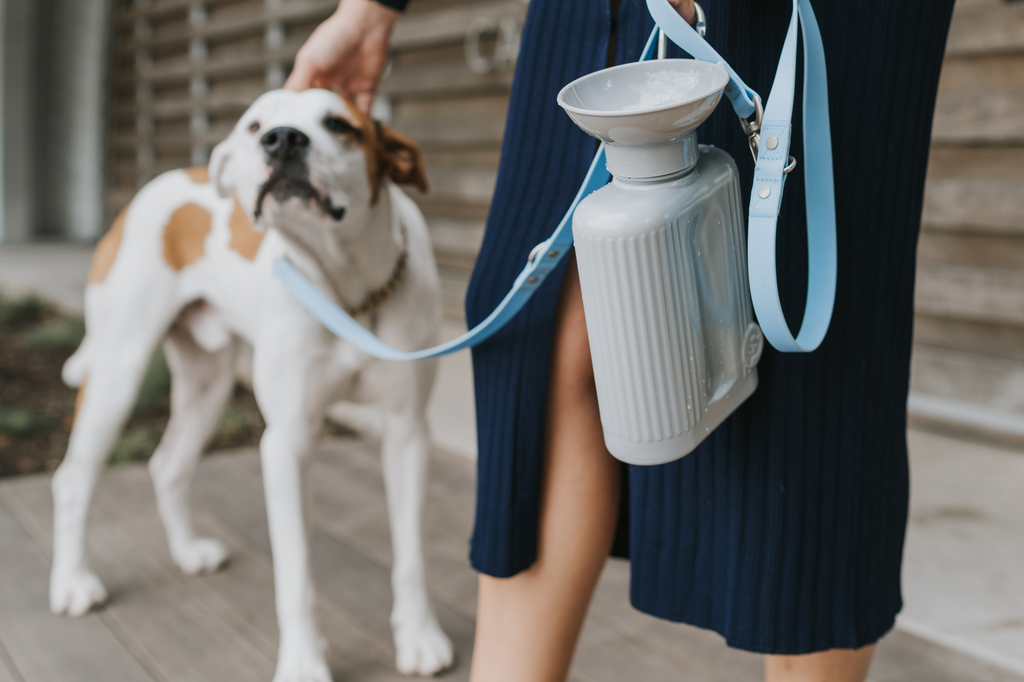 Classic Dog Travel Water Bottle | Springer Pets AU