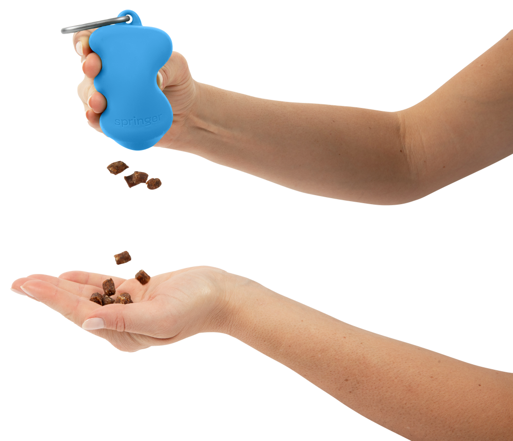 Silicone Dog Treat Dispenser Blueberry