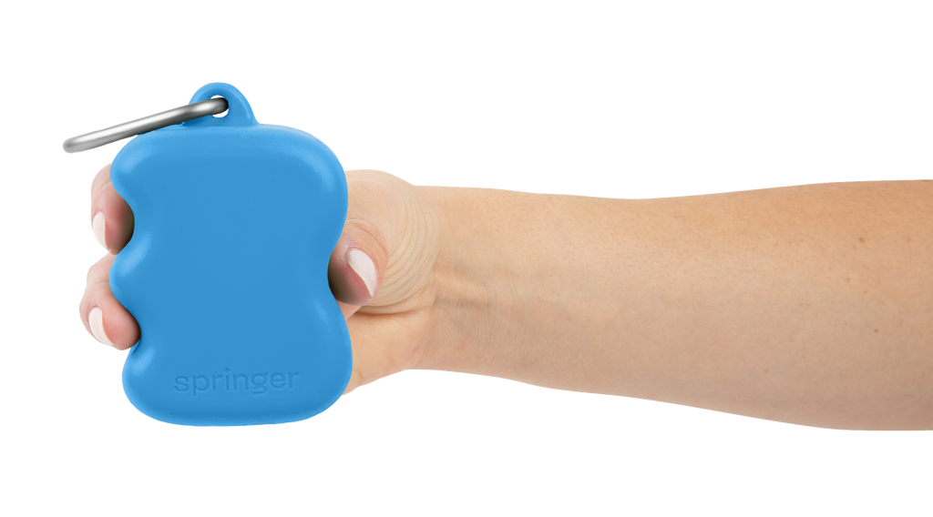 Silicone Dog Treat Dispenser Blueberry