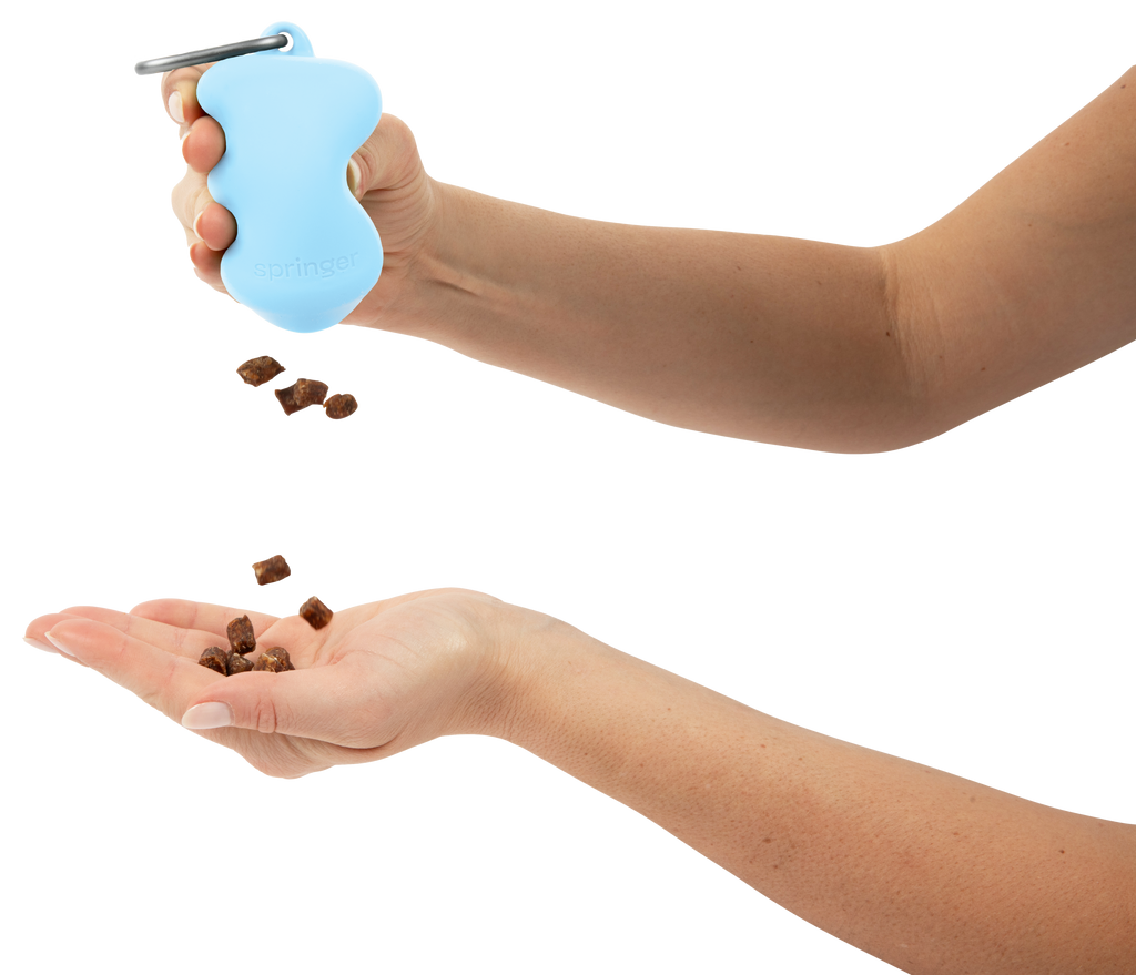 Silicone Dog Treat Dispenser Sky Blue