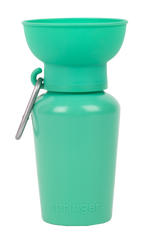 Flip Springer Green Bottle
